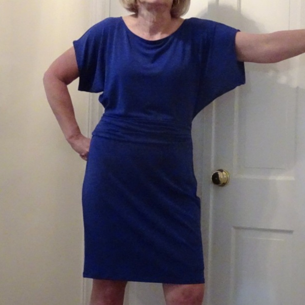 Ann Taylor Dolman Sleeve Sheath Knit Dress